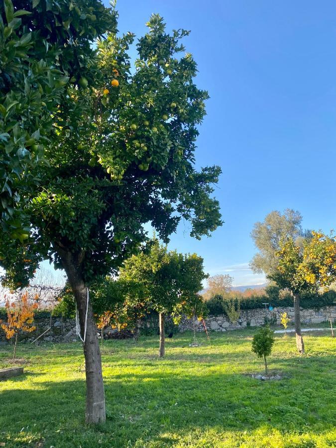Bed and Breakfast Quinta De Areias Crespos Экстерьер фото