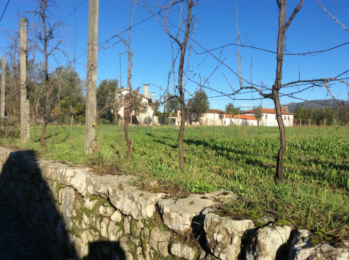 Bed and Breakfast Quinta De Areias Crespos Экстерьер фото